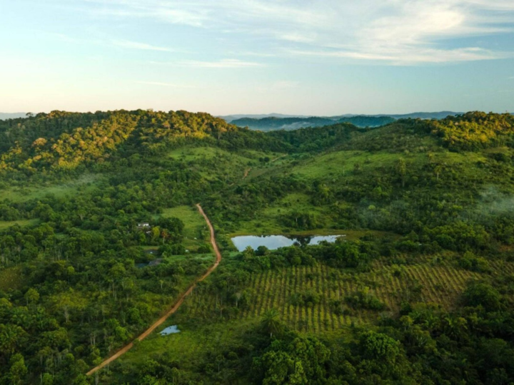 Educação ambiental como ferramenta de transformação nas escolas