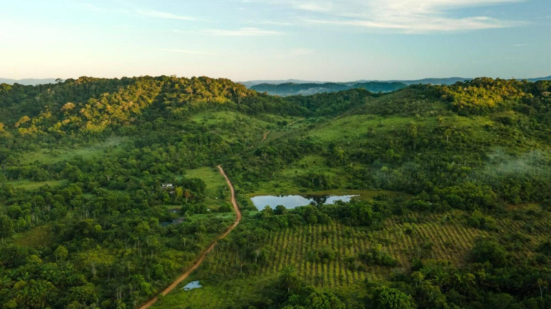 Educação ambiental como ferramenta de transformação nas escolas