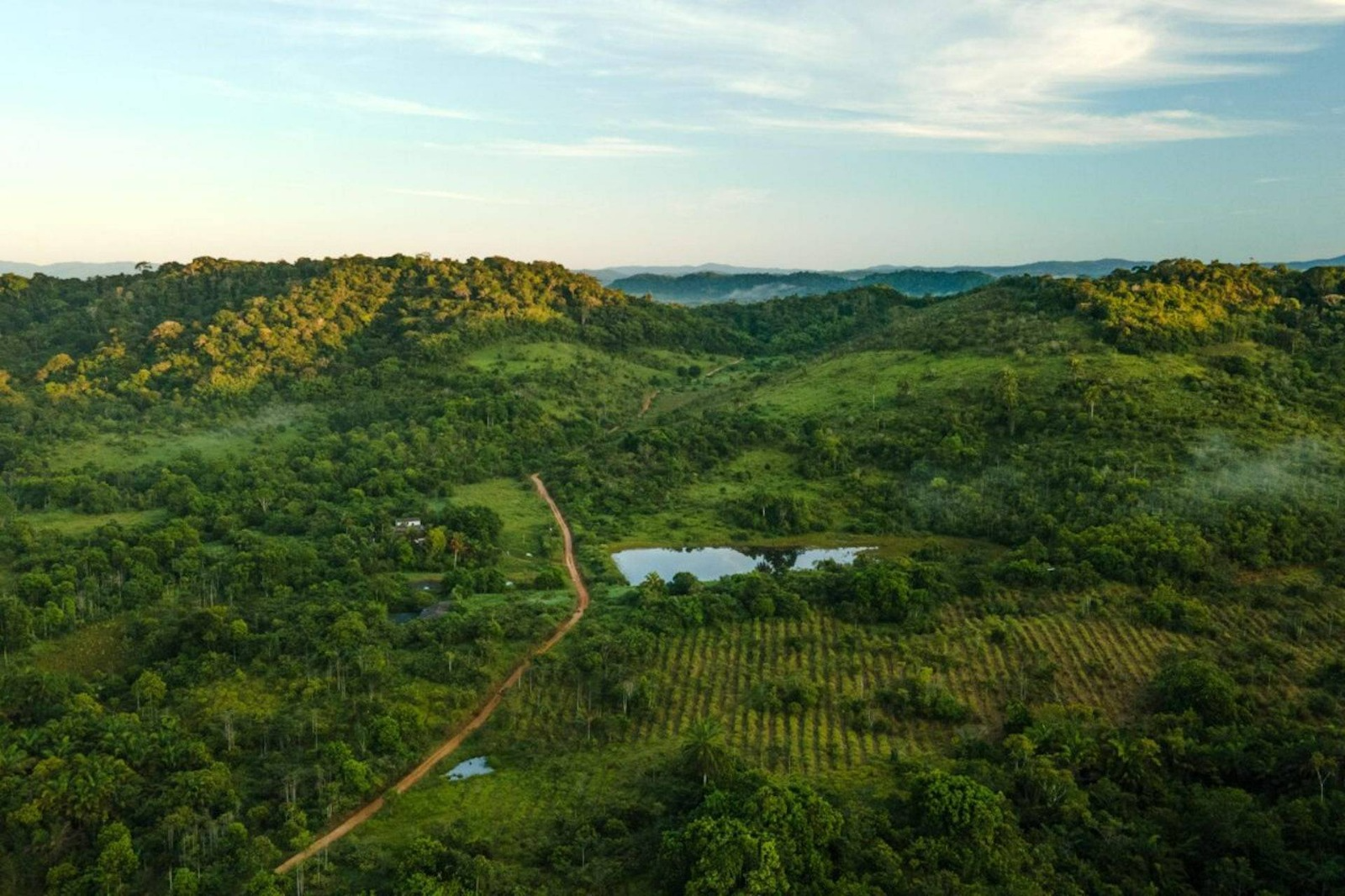 Educação ambiental como ferramenta de transformação nas escolas