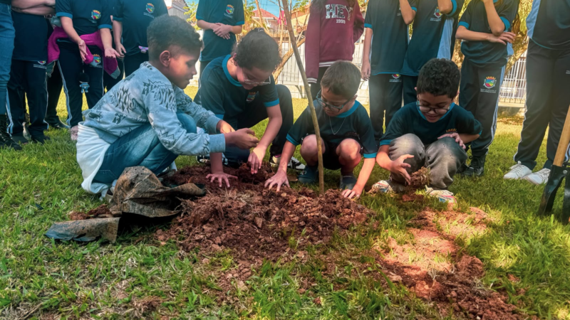 Santo Antônio de Posse: Educação ambiental na prática: estudantes do CIEF realizam plantio de árvores