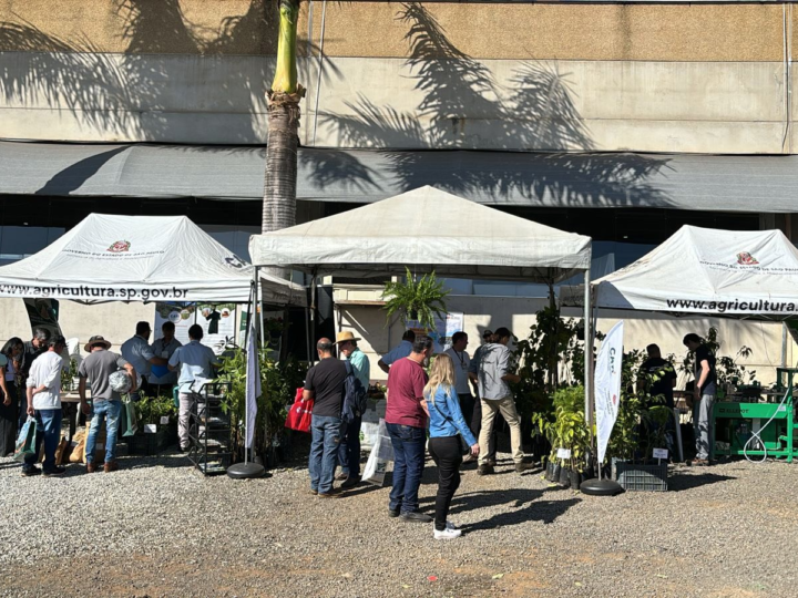 Estande da CATI na 31ª Hortitec promoverá atendimento gratuito a horticultores