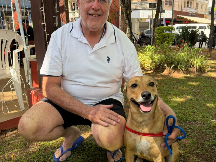 Prefeitura promove adoção responsável e encontra novos lares para animais em Serra Negra
