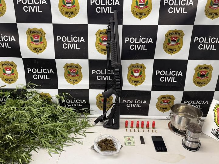OPERAÇÃO “GG” ENCONTRA PLANTAÇÃO DE MACONHA E ESPINGARDA EM CHÁCARA DE SUMARÉ
