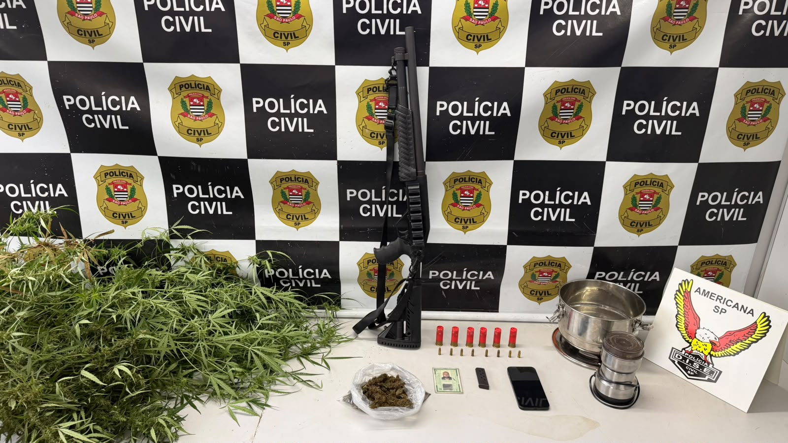 OPERAÇÃO “GG” ENCONTRA PLANTAÇÃO DE MACONHA E ESPINGARDA EM CHÁCARA DE SUMARÉ