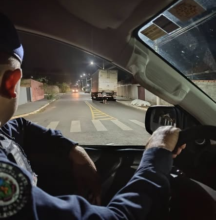 GCM REALIZA ABORDAGEM PREVENTIVA DURANTE POLICIAMENTO OSTENSIVO