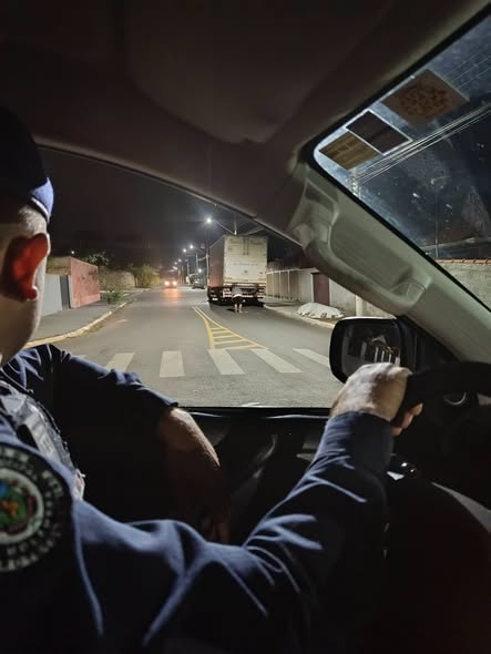 GCM REALIZA ABORDAGEM PREVENTIVA DURANTE POLICIAMENTO OSTENSIVO